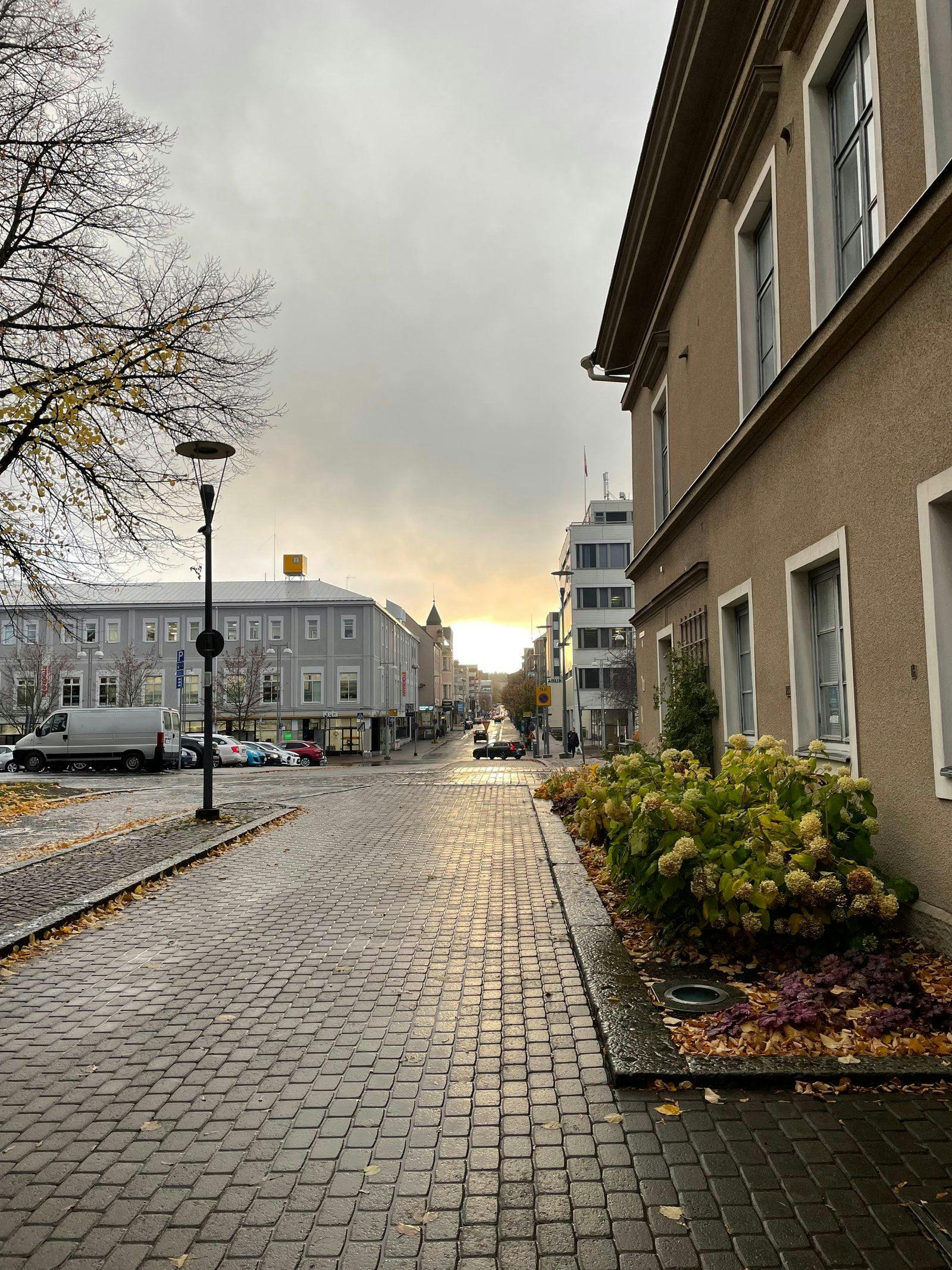 Puutarhakatu olisi voinut jatkua patosillan kulttuurimiljööstä eteenpäin puutarhamaisena. Kaupunginhallitus kaatoi suunnitelmat.