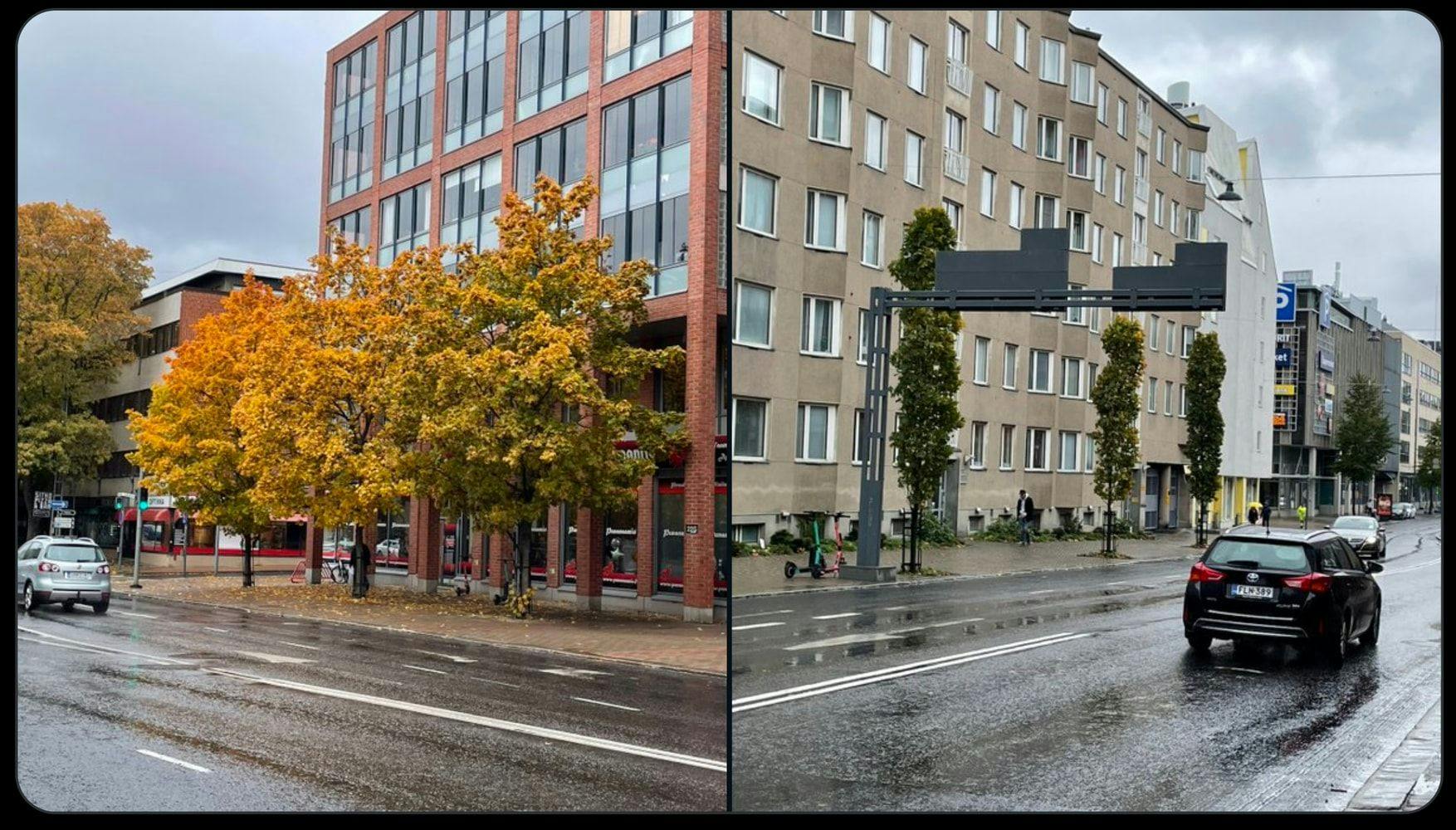 Satakunnankadulla on kunnon puita ja riukuja. Kuvat otettu samana päivänä.